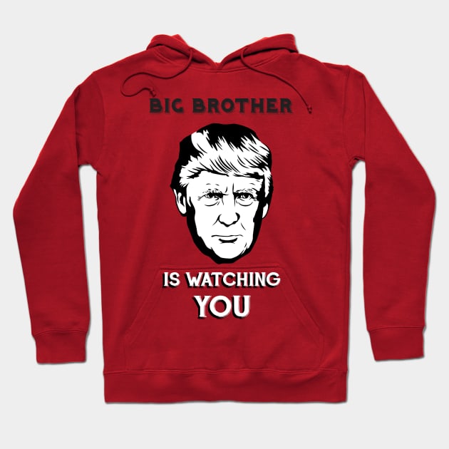 BIG BROTHER IS WATCHING YOU Hoodie by atizadorgris